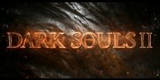 Dark Souls 2: Fans starten Petition für Wii U Version