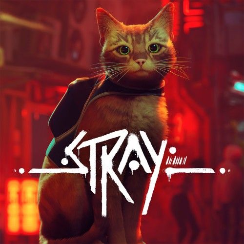 Stray Cover
