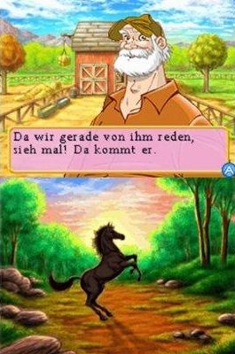 Abenteuer auf dem Reiterhof: Das schwarze Wildpferd