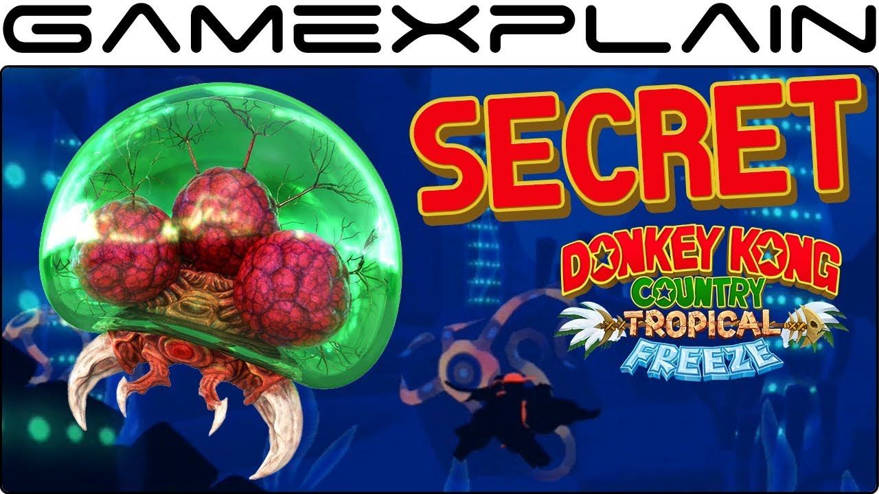 Neues Easter Egg in DKC: Tropical Freeze entdeckt