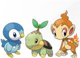 A Hitchhiker?s Guide to Sinnoh