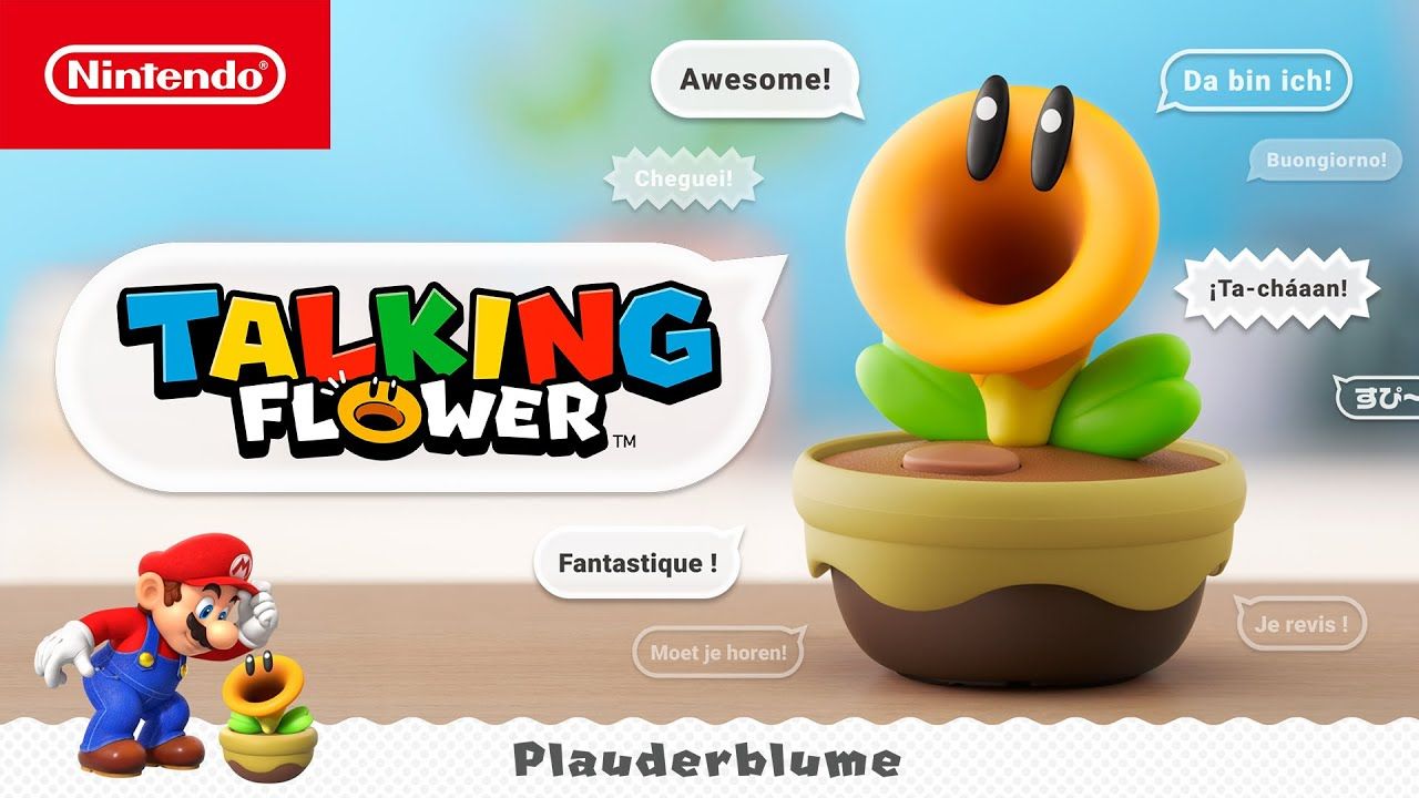Plauderblume erscheint am 12. März