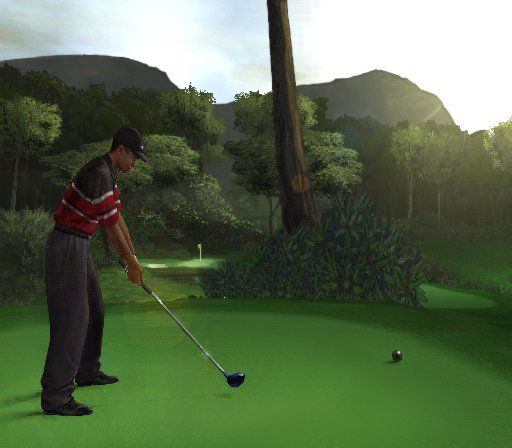 Tiger Woods PGA Tour 2003