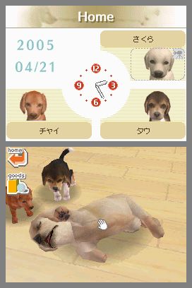 Nintendogs