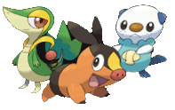 Pokémon Überall