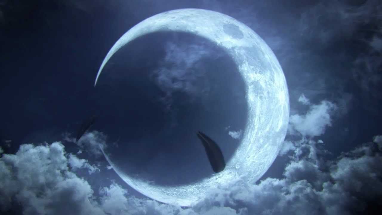Bayonetta 2 angekündigt