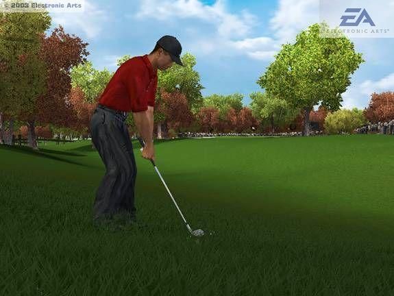 Tiger Woods PGA Tour 2004