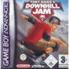 Tony Hawk?s Downhill Jam