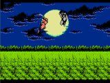 Shadow Warriors [Ninja Gaiden]