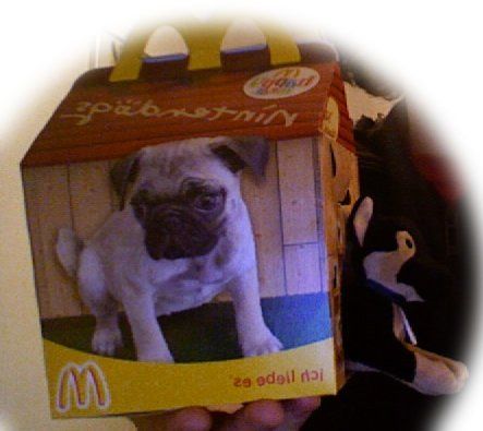 Wuff, Wuff! Plüsch-Nintendogs bei McDonalds