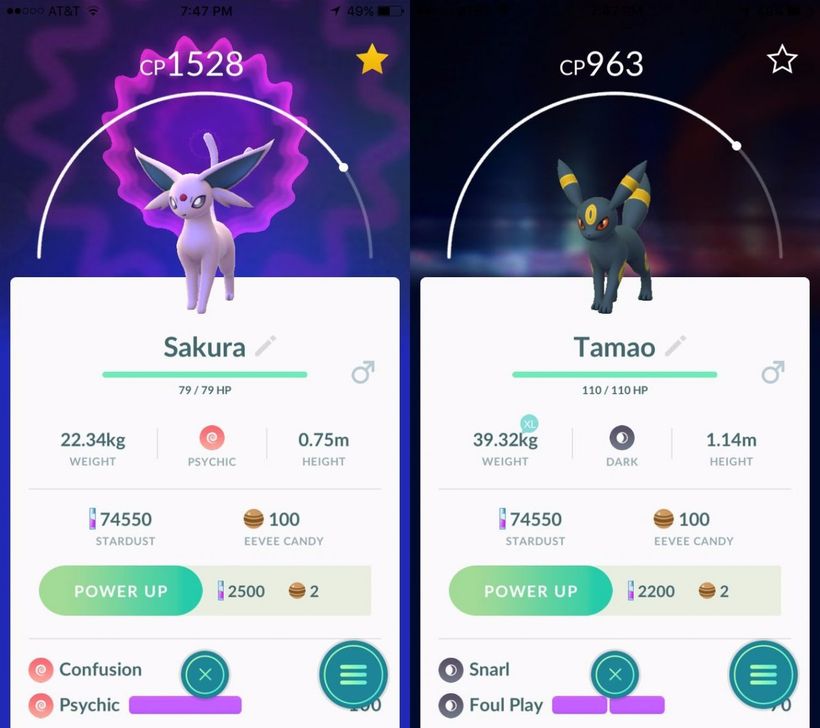 Evoli Psiana Nachtara Sakura Tamao