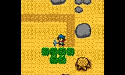 Harvest Moon
