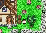 Lufia für den GBC - neue Infos und Screens