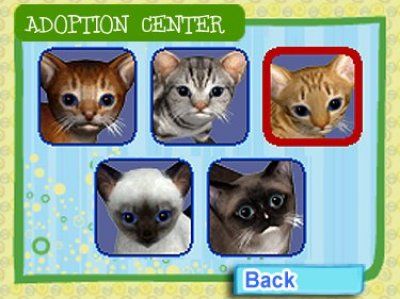 Catz