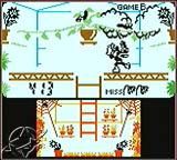 Game & Watch Gallery 3