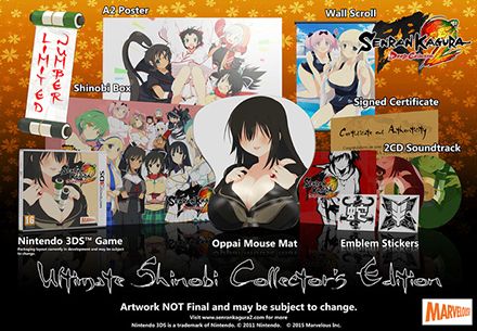 Senran Kagura Burst